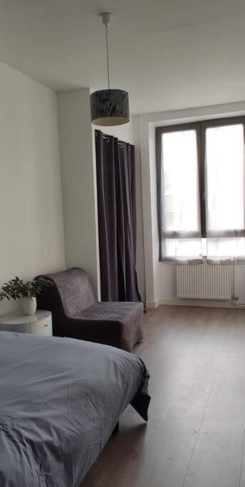 Logement 5 Personnes Proche Cv Et Parking Prive Apartment Saint-Etienne  Bagian luar foto