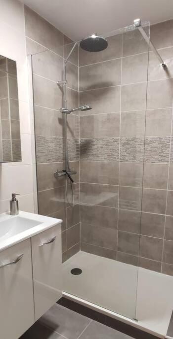 Logement 5 Personnes Proche Cv Et Parking Prive Apartment Saint-Etienne  Bagian luar foto