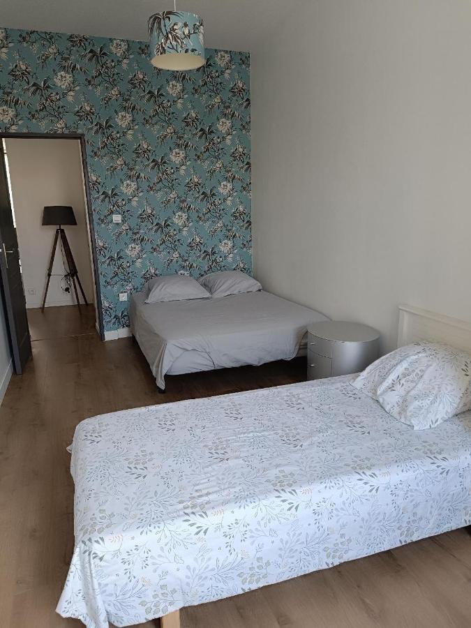 Logement 5 Personnes Proche Cv Et Parking Prive Apartment Saint-Etienne  Bagian luar foto